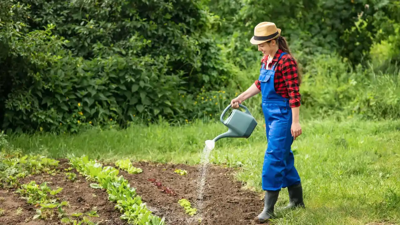 Organic gardeners