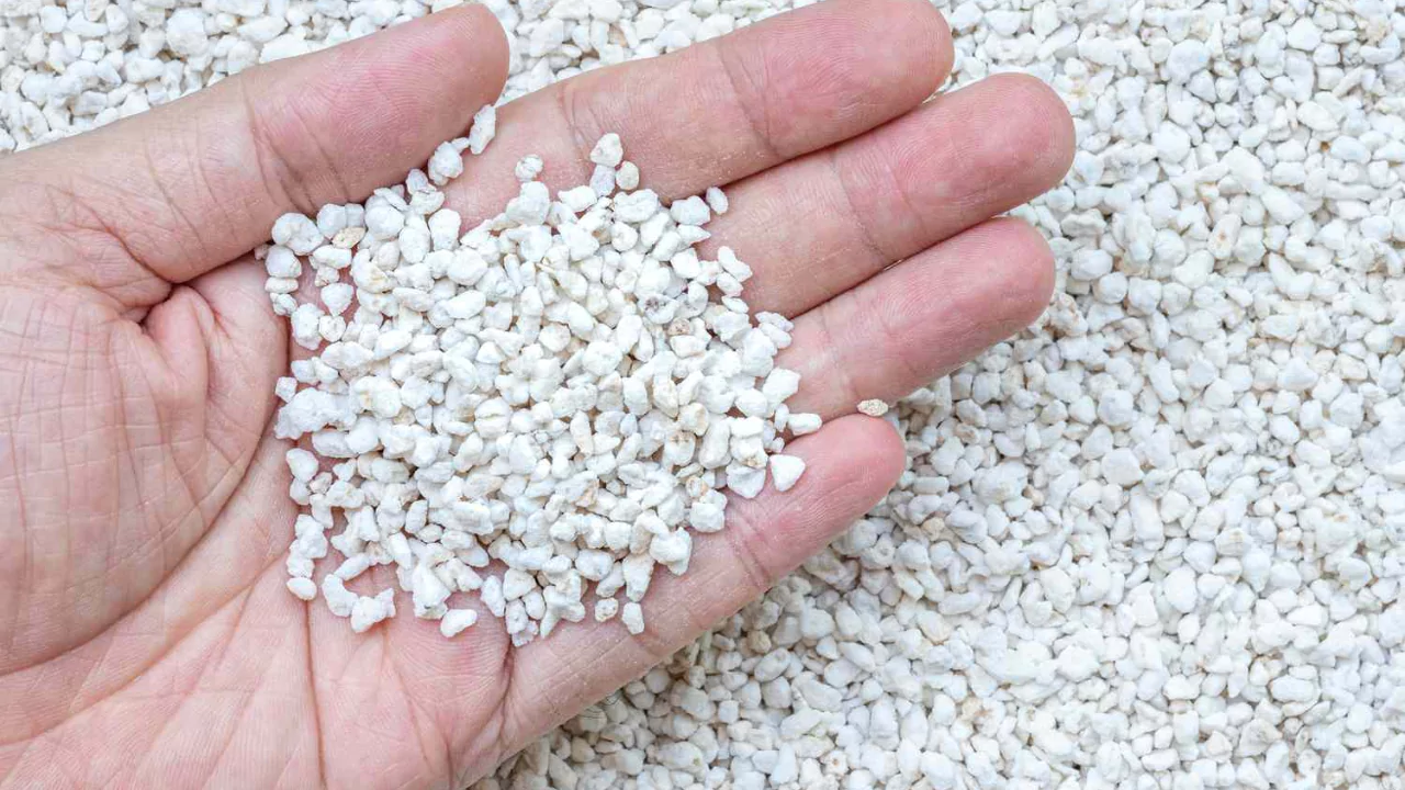 Can You Use Foam as A Hydroponic Growing Medium
