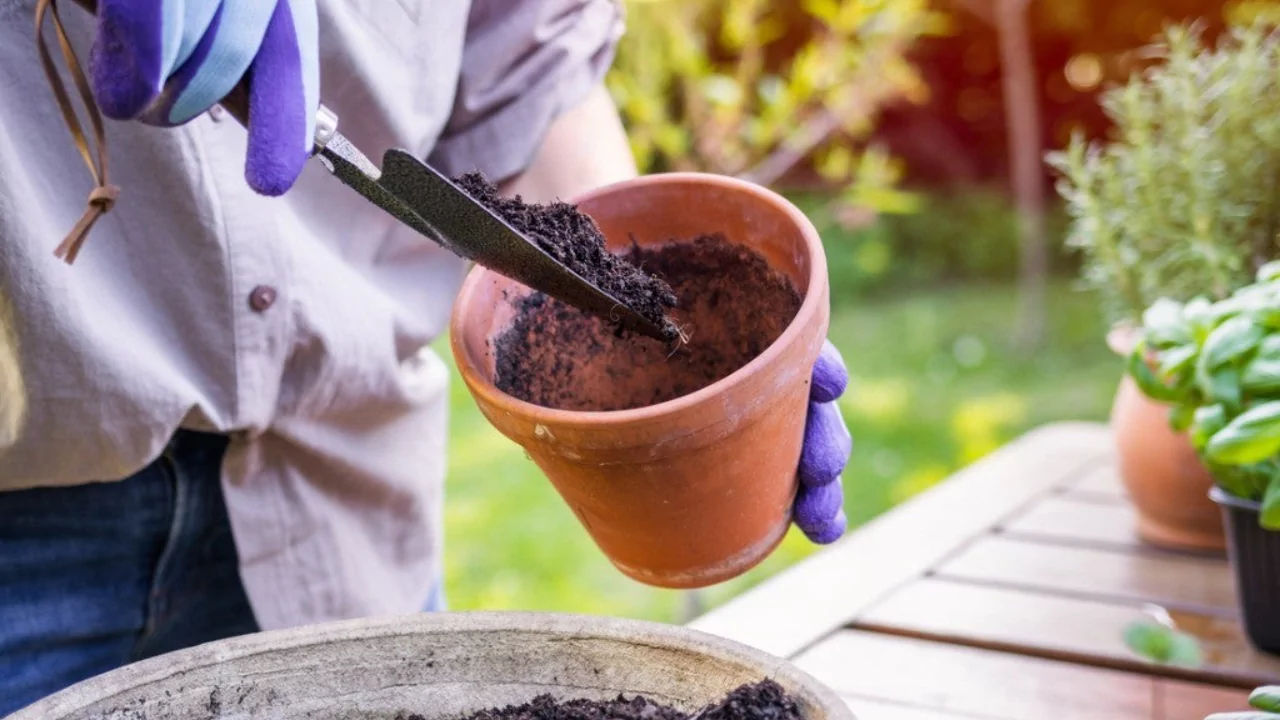 Playing in potting soil tips