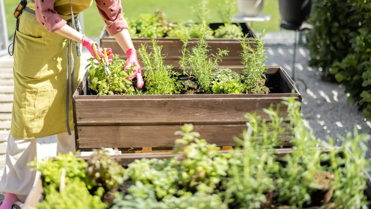What To Put On The Bottom of Raised Garden Bed