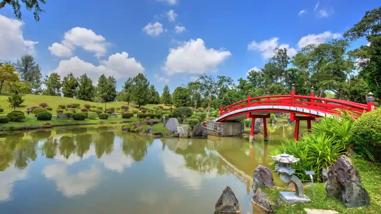 Red Bridge in Japanese Garden