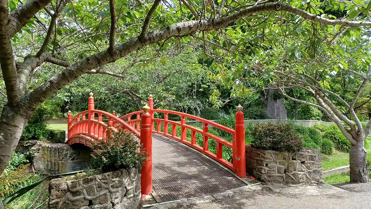 Shape design Japanese garden bridge