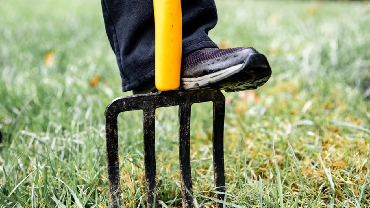 Can You Aerate your Lawn in a Winter Cold? 4 The Best Temperatures To Aerate Your Lawn