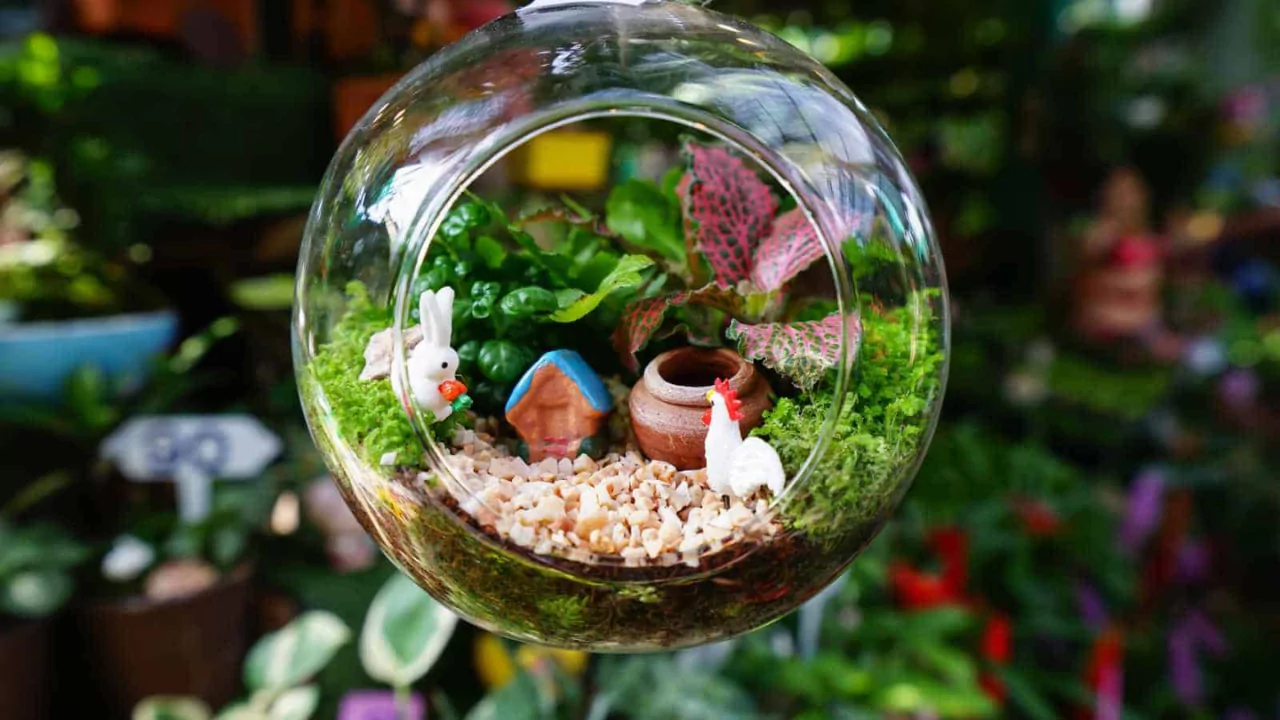 How to Make a Zen Garden Terrarium