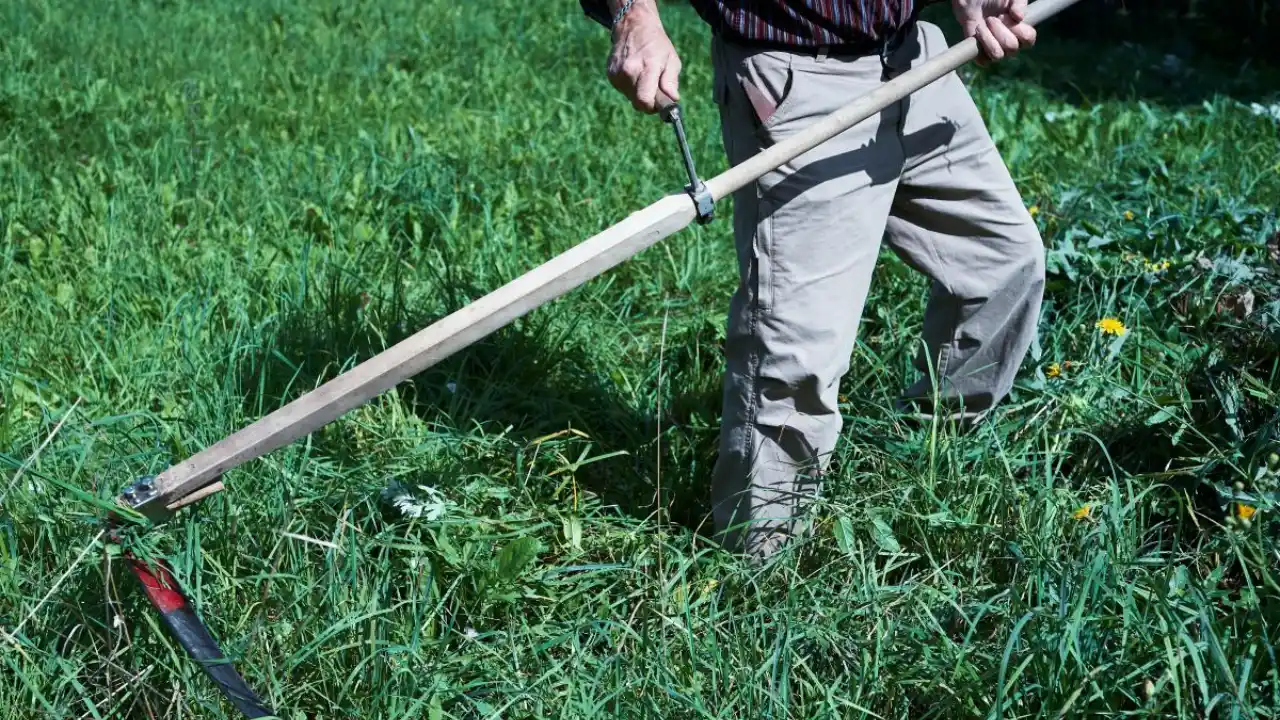 Using Scythe