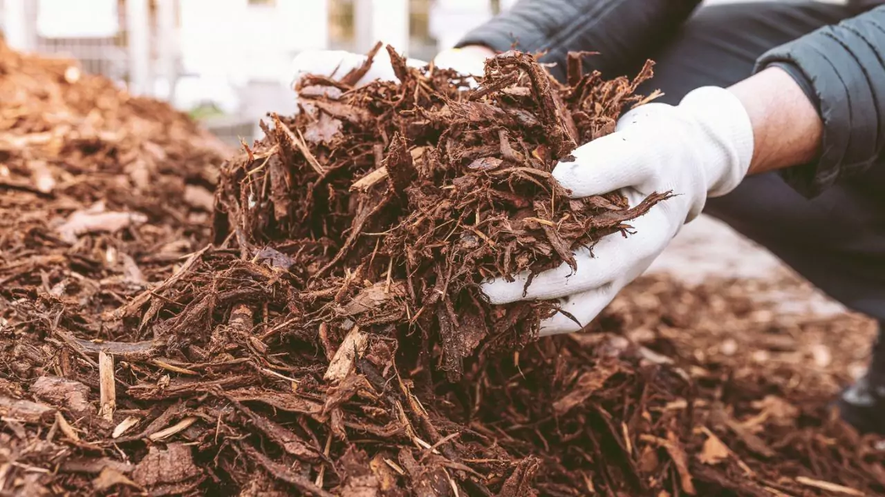 Best Material for Playground Surface 4 Wood chips and mulch