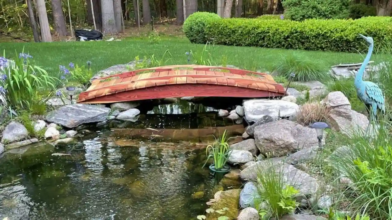 Wooden bridge Japanese garden