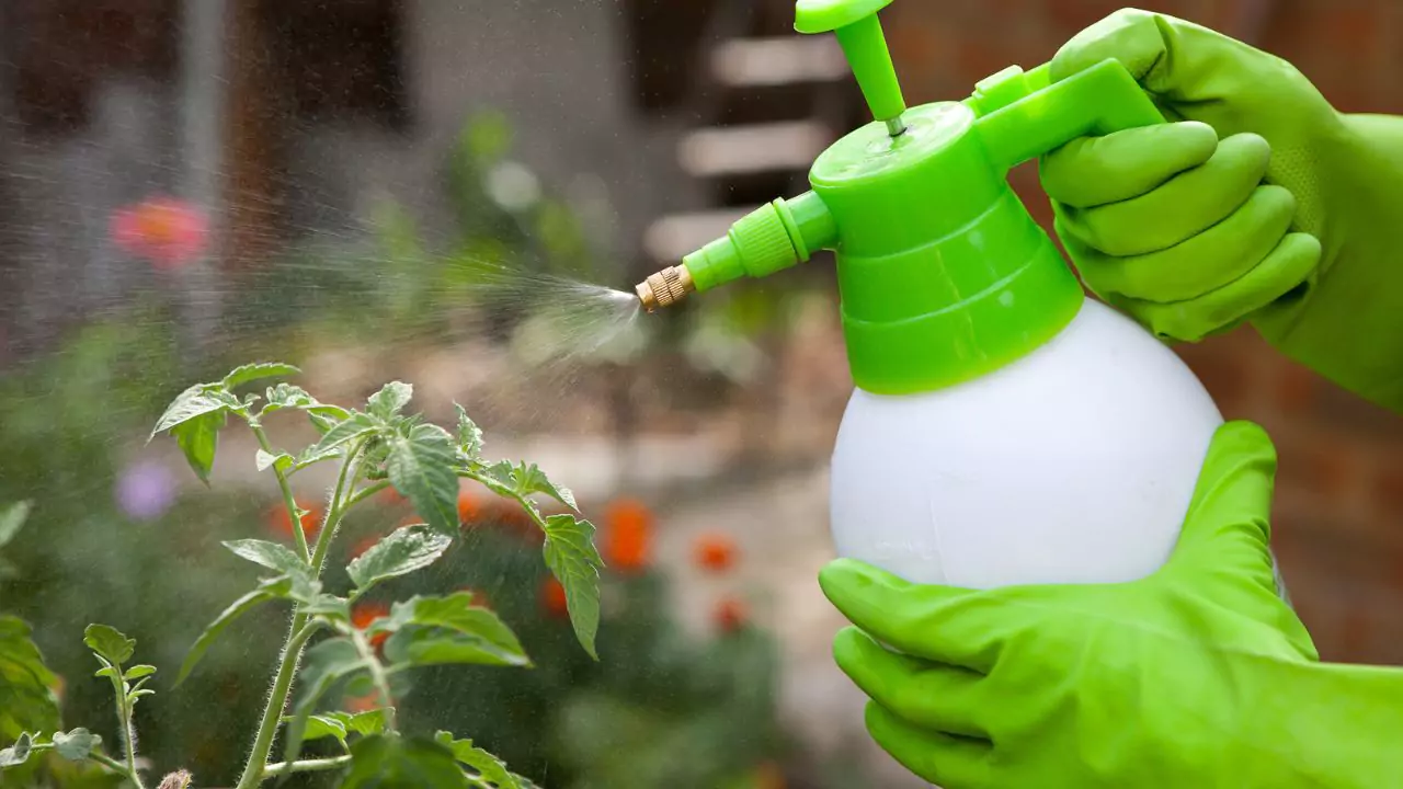 4 Best Garden Pump Sprayers 2 garden pump sprayer