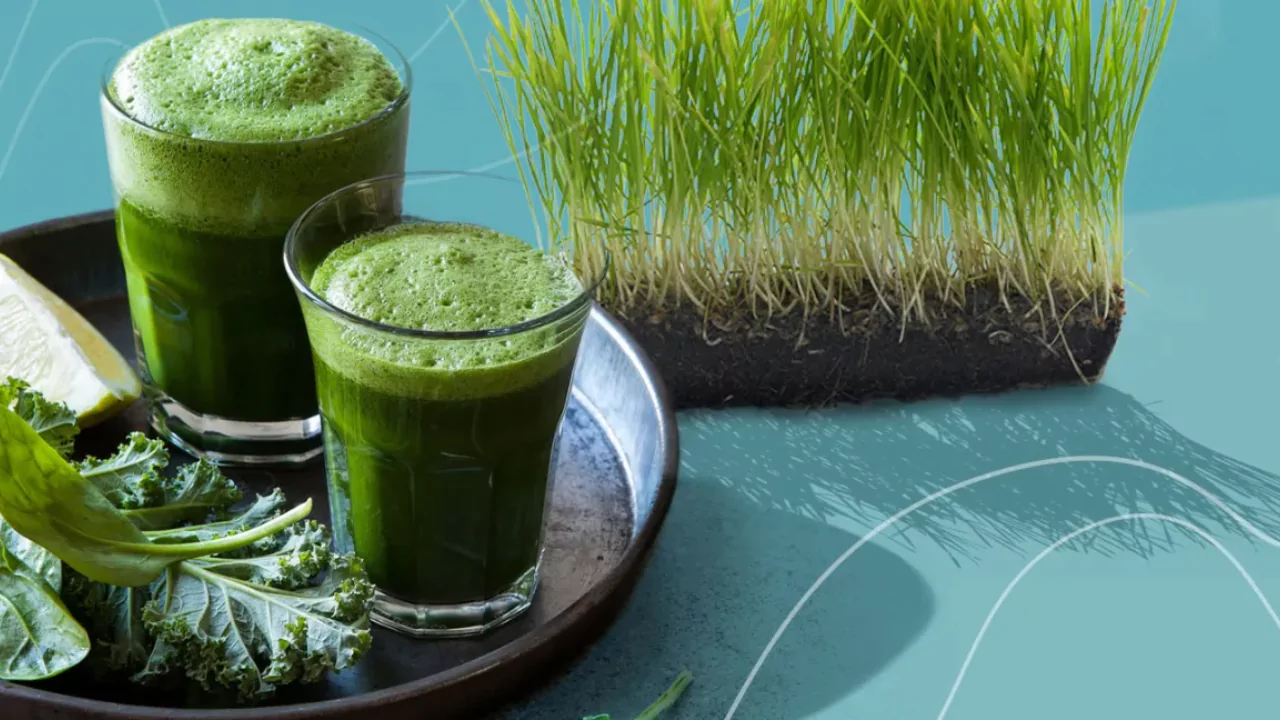 Wheatgrass Seeds for Sprouting – Grower’s Guide 6 juice