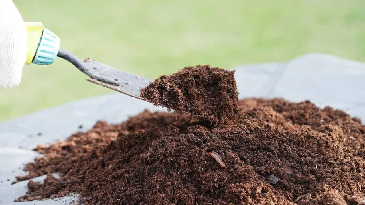 Will Organic Fertilizer Burn Grass/Plants