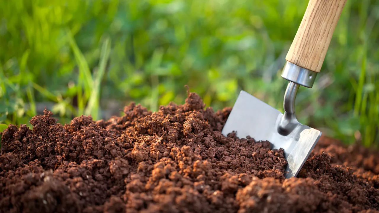 most effective organic fertilizer