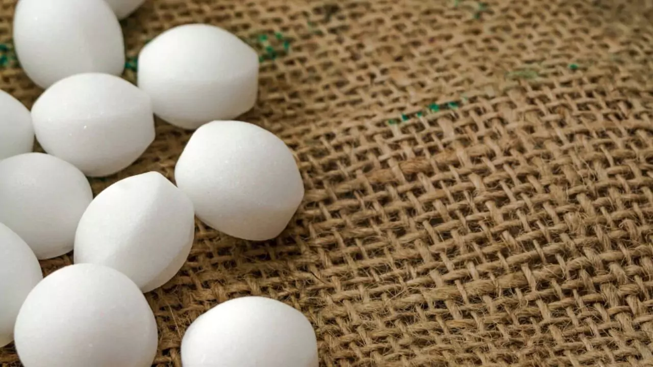 How to Scare Possums Away from Your House 4 mothballs