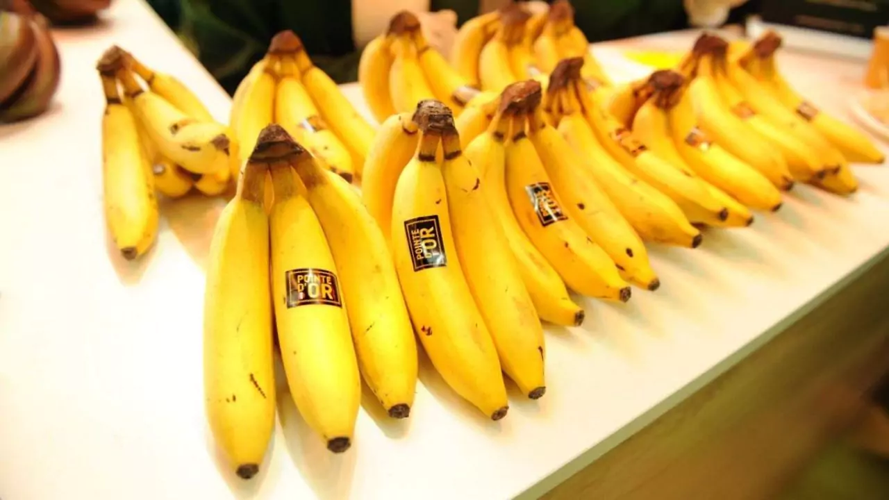 organic banana