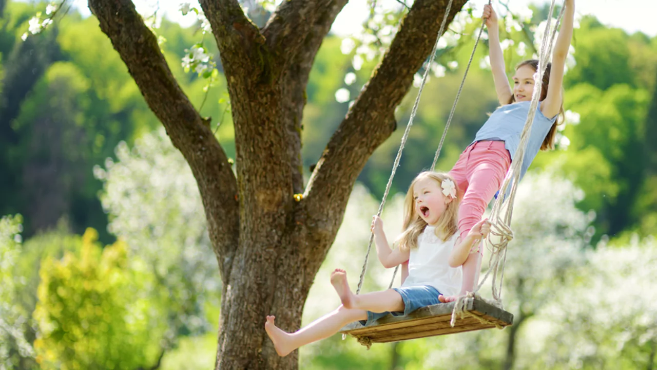 What Are the Best Trees to Hang a Swing From? 5 trees for swings