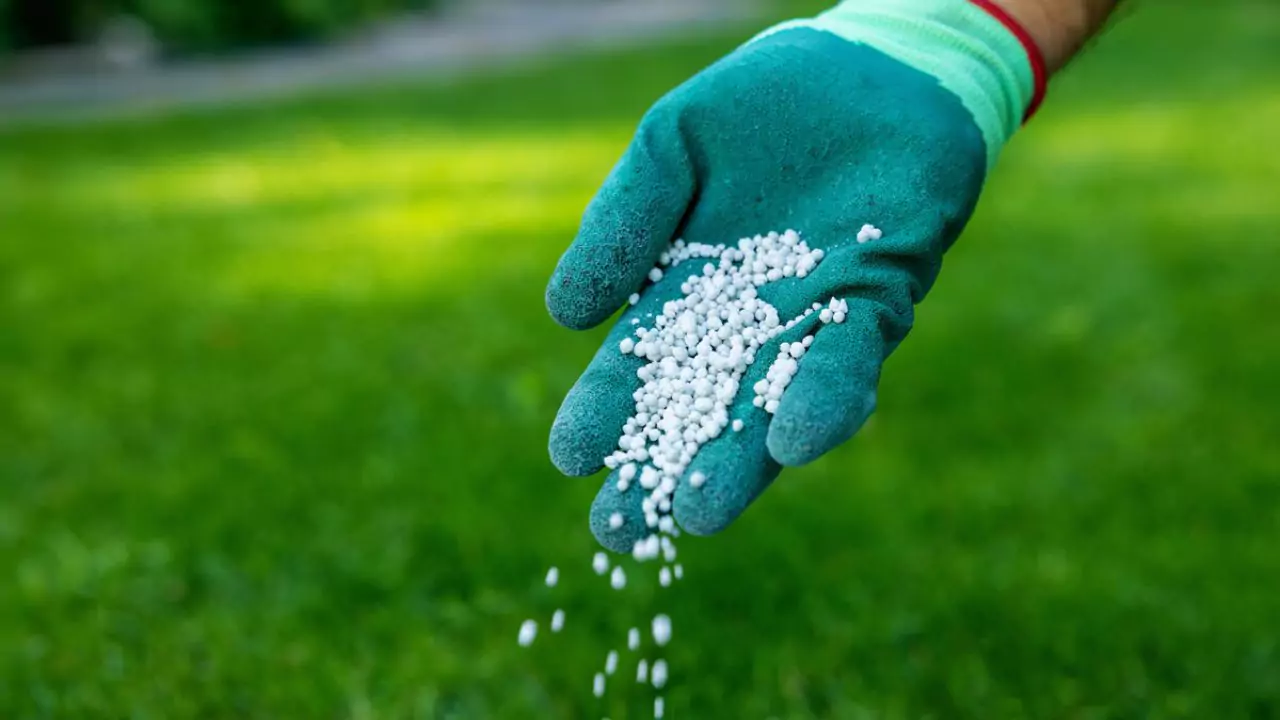 winter fertilizer