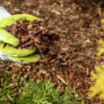 8 Essential Winter Gardening Jobs To Do Right Away