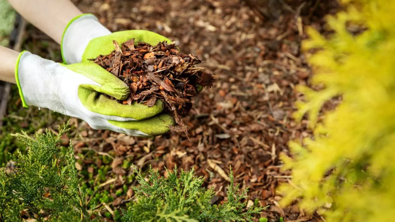 8 Essential Winter Gardening Jobs To Do Right Away