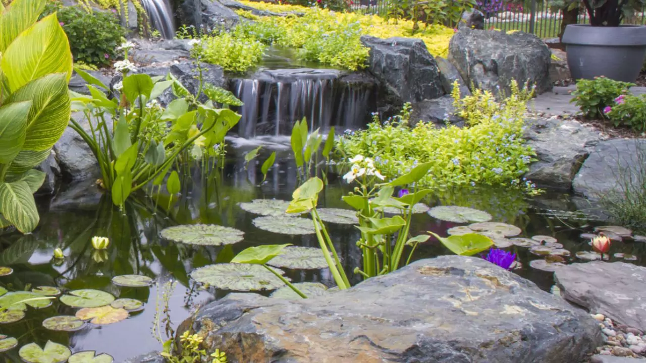 Adding a pond heater