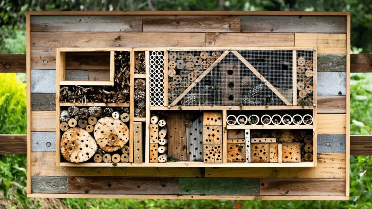 What Is a Bee Hotel? A Beginner’s Guide to Garden Bee Hotels 1 Bee hotel materials