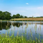 Complete Guide to Farm Ponds