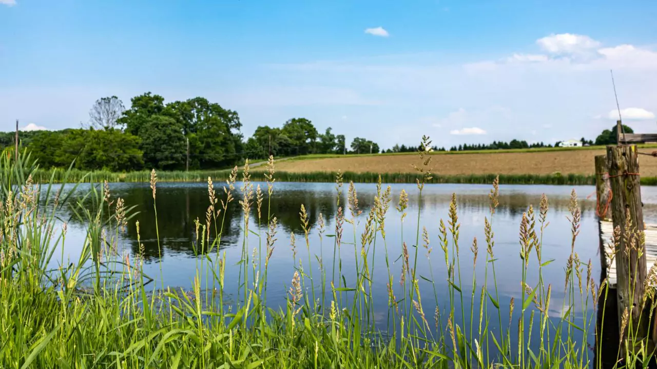 Complete Guide to Farm Ponds