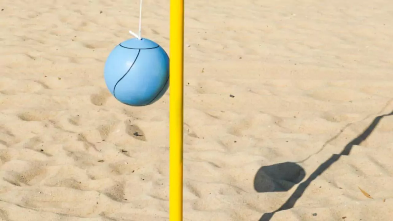 Backyard Tetherballs for Dogs (Should You Buy One?) 1 Can dogs play tetherball alone