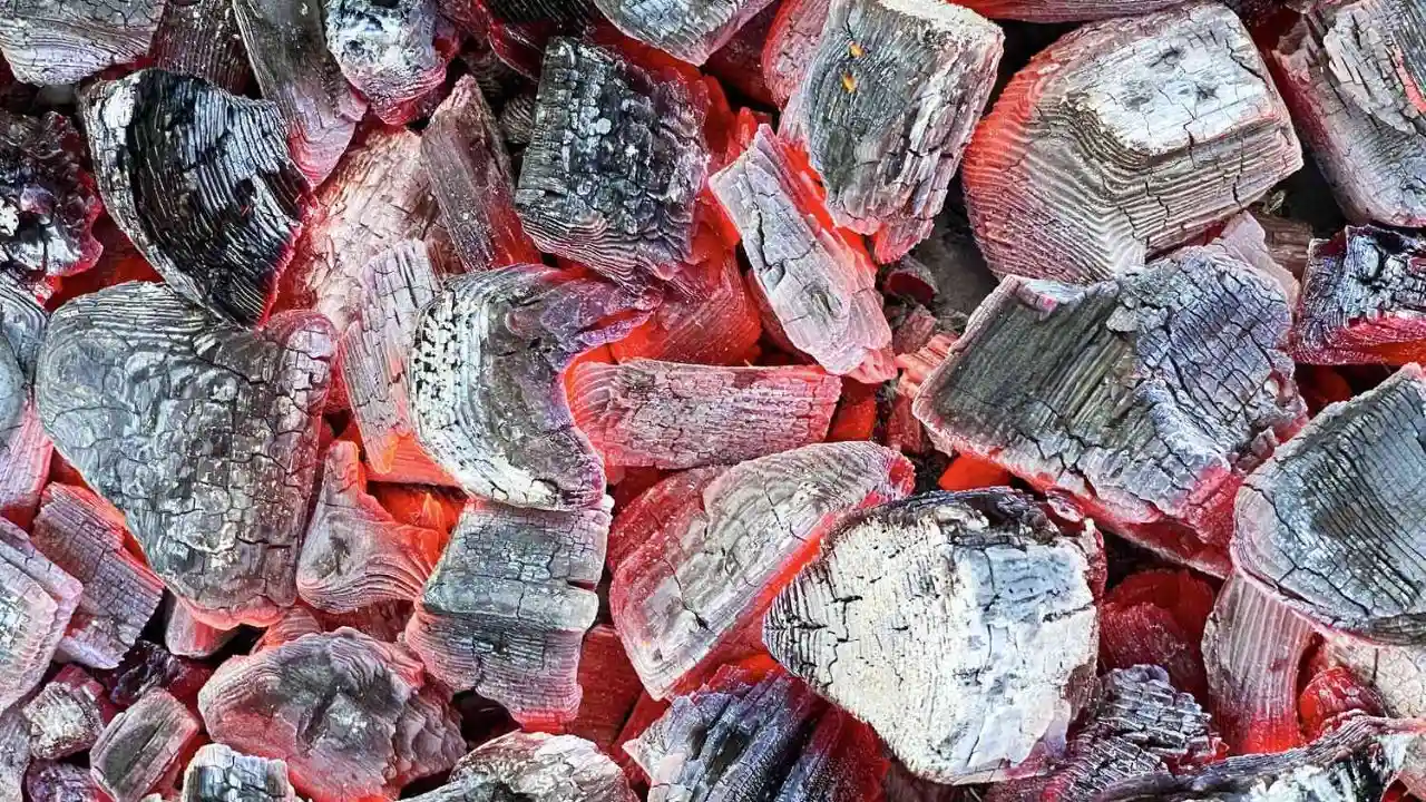 Is Charcoal Ash Good for Plants (How to Use Correctly) 6 Charcoal briquettes