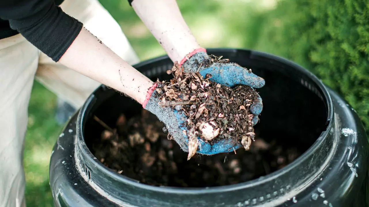 Is Charcoal Ash Good for Plants (How to Use Correctly) 3 Compost Pile
