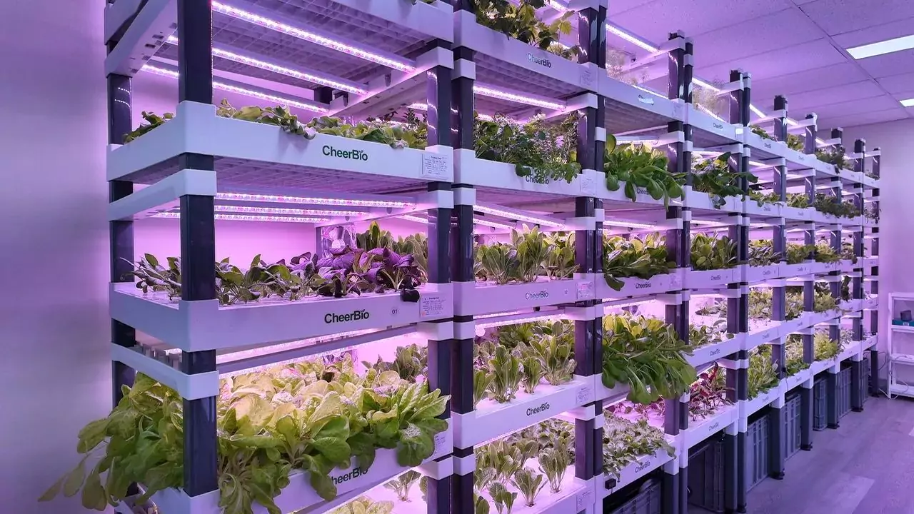 Cost effective hydroponics