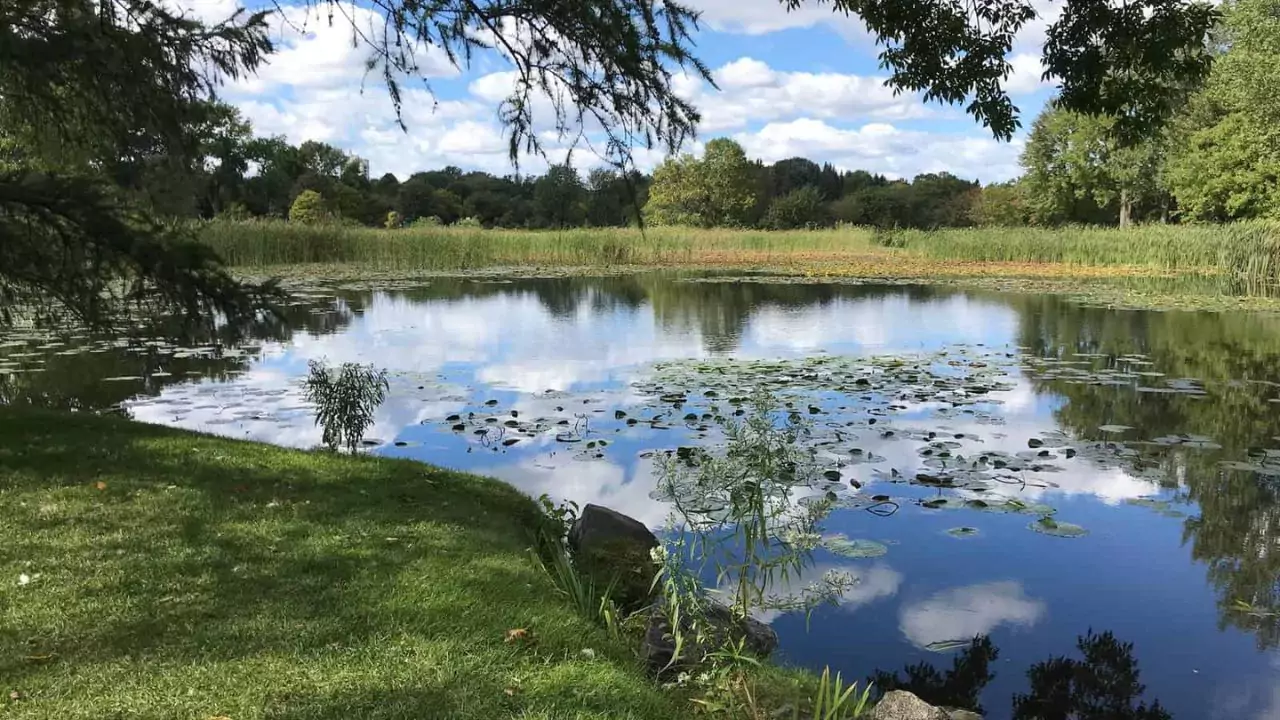 Complete Guide to Farm Ponds 2 Farm Ponds