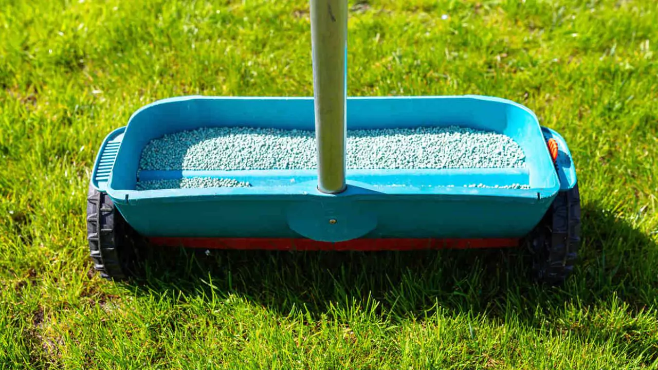 Does Fertilizer Help Grass Grow? 2 Fertilizing grass 1
