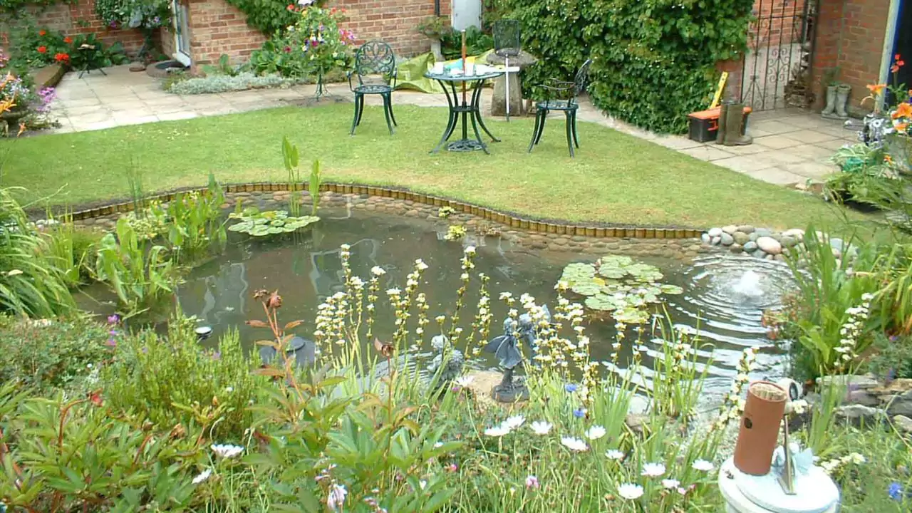 Garden pond 1