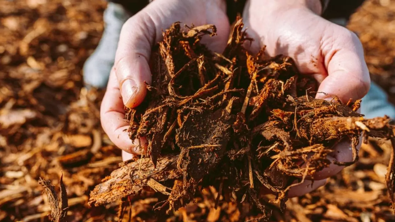 Get Cedar mulch