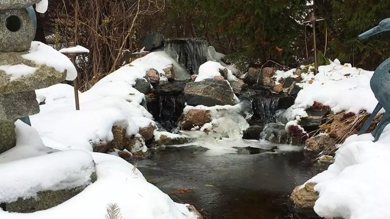 How Do You Prepare Your Pond for The Winter