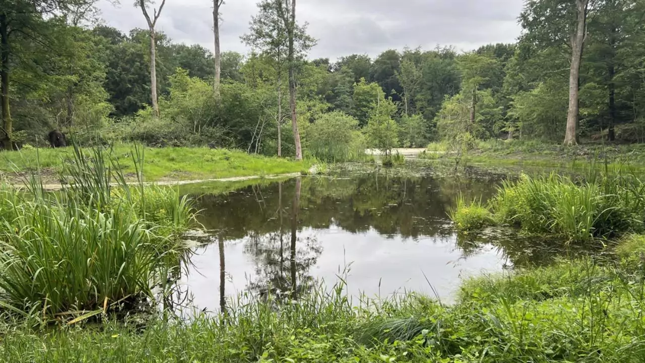 Complete Guide to Farm Ponds 4 How to build a farm pond