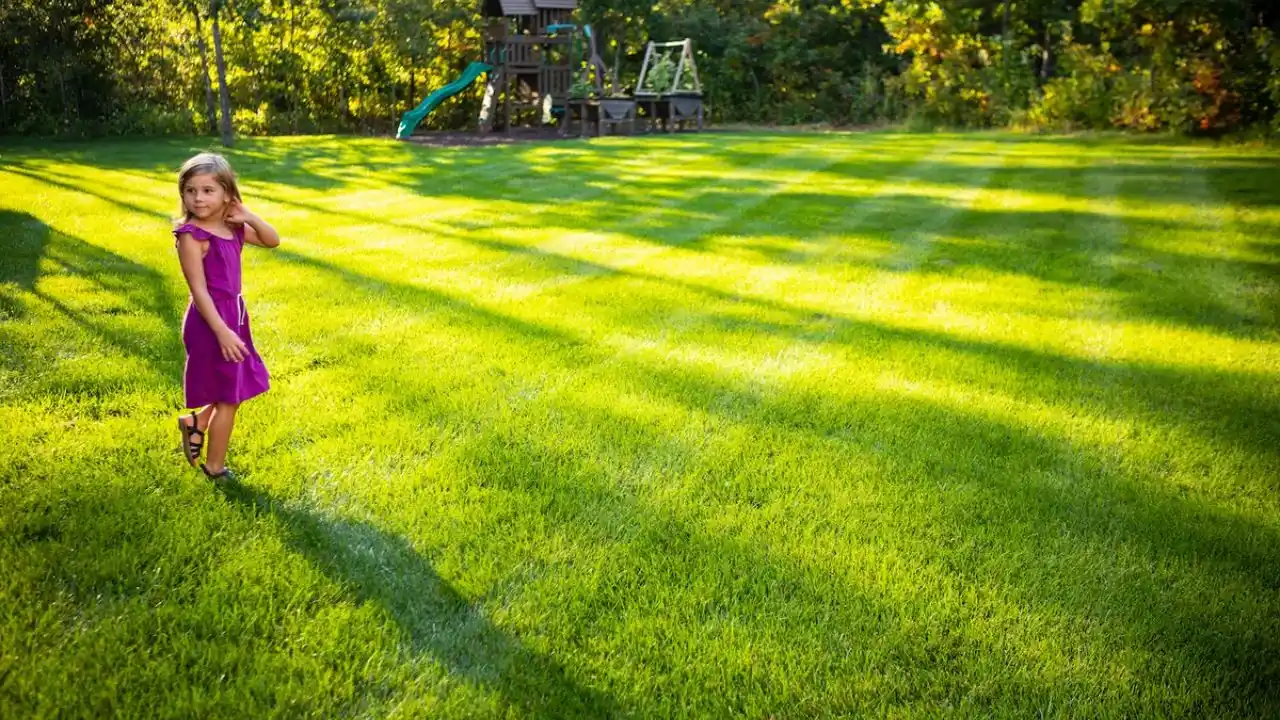 Best Robotic Lawn Mowers Canada – 7 Amazing Robot Mowers 5 Lawn with compact soil