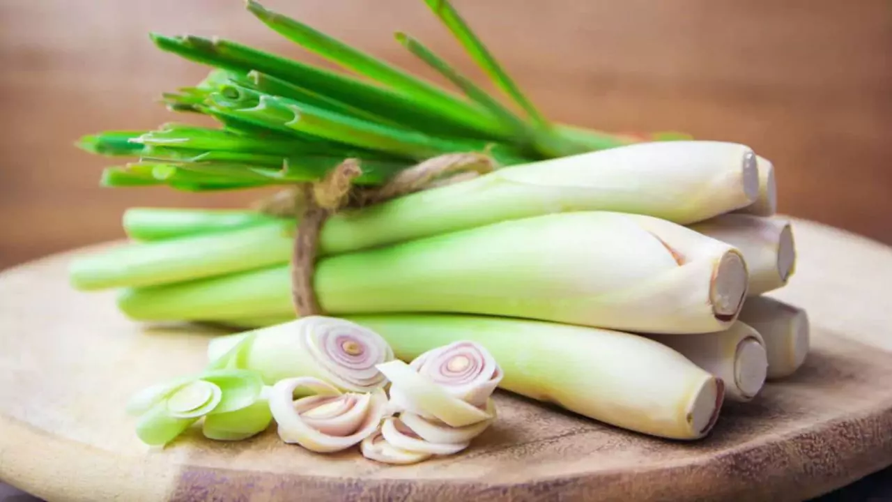 Complete Guide to Lemon Grass 5 Lemon Grass for fever