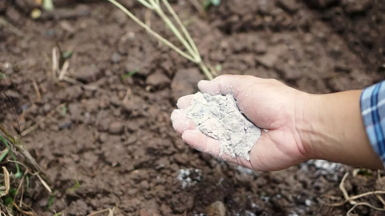 Liming soil