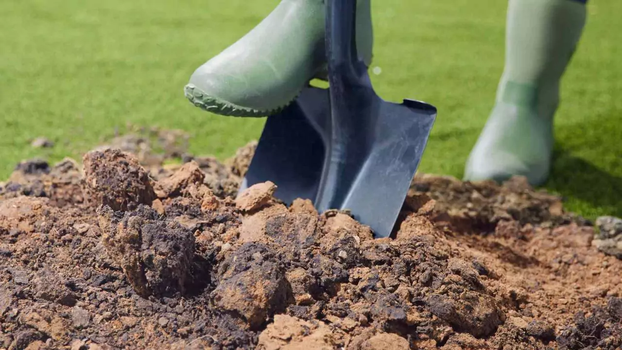 8 Essential Winter Gardening Jobs To Do Right Away 2 Maintain Or Improve Soil Health Clean Up