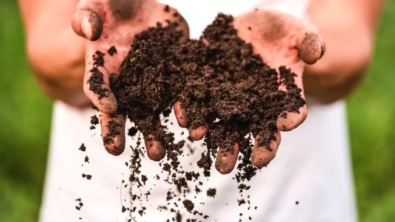 8 Essential Winter Gardening Jobs To Do Right Away 1 Maintain Or Improve Soil Health