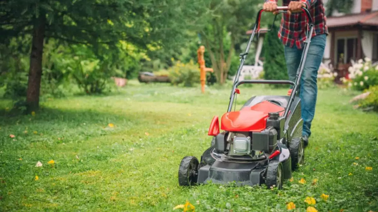 How Often to Mow Lawn in Winter? Winter Mowing Guide 3 Mowing during winter