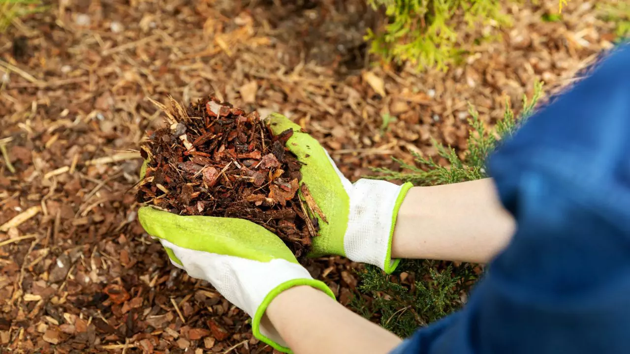 How to Use Vermicompost in Potted Plants 2 Mulch types