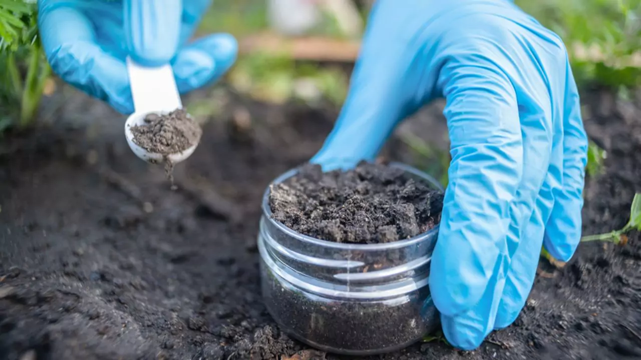 Organic garden lime testing
