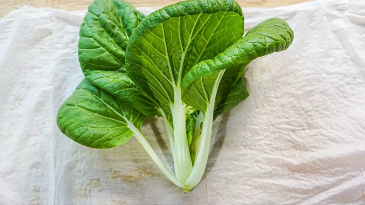 How to Grow Organic Pechay 5 Organic pechay health benefits