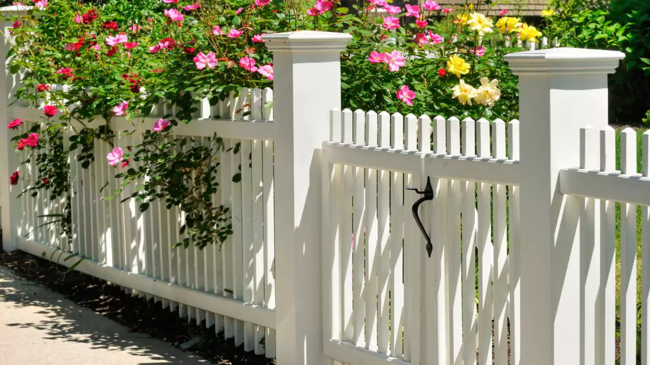 How to Get Rid of Rabbits without Killing Them (Harmless Methods) 6 Picket fence