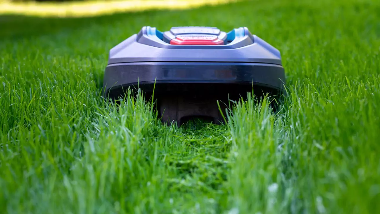 Best Robotic Lawn Mowers Canada – 7 Amazing Robot Mowers 2 Robotic lawn mower