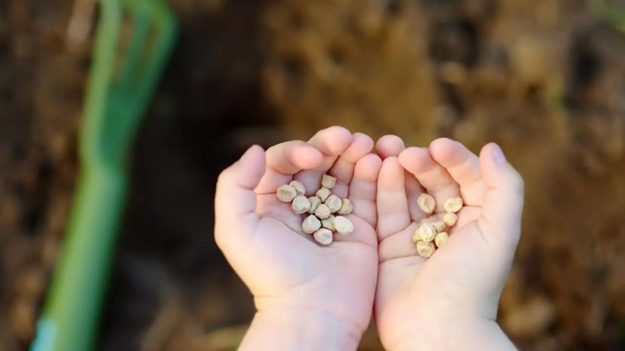 8 Essential Winter Gardening Jobs To Do Right Away 4 Save Your Seeds