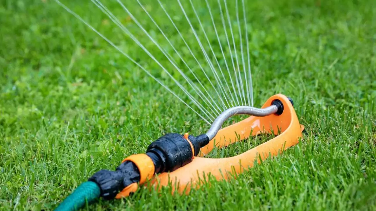 How Often Should You Water Grass Seeds? Watering Lawn Seed Tips 3 Sprinkler types