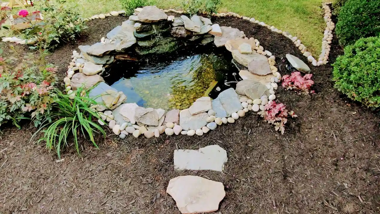 Top 7 Reasons Your Pond Plants Are Dying 2 Tiny pond 2