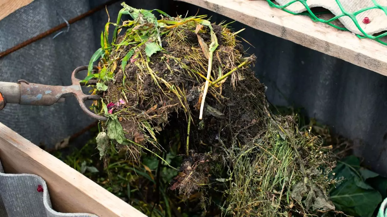 8 Essential Winter Gardening Jobs To Do Right Away 5 Turn Your Compost